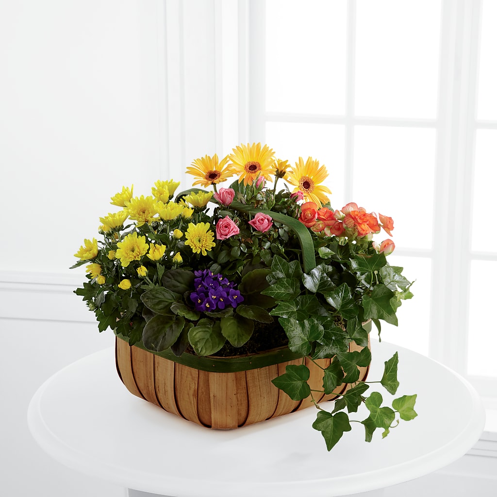 Gentle Blossoms Basket – The Gift Garden, Macon GA