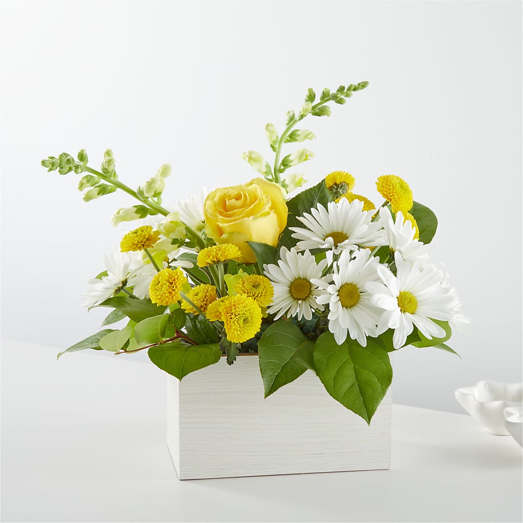 Sun Salutation Box Bouquet – The Gift Garden, Macon GA
