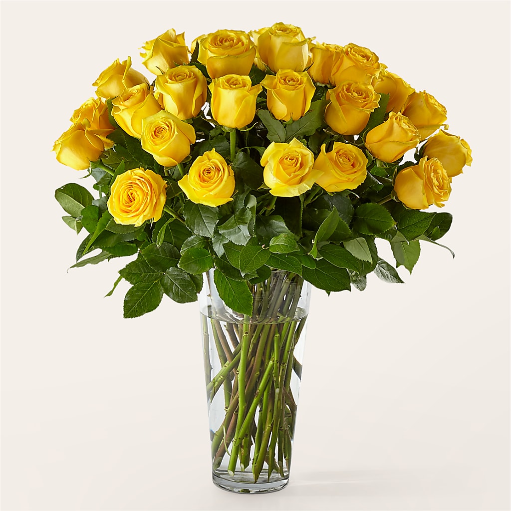 Long Stem Yellow Rose Bouquet – The Gift Garden, Macon GA