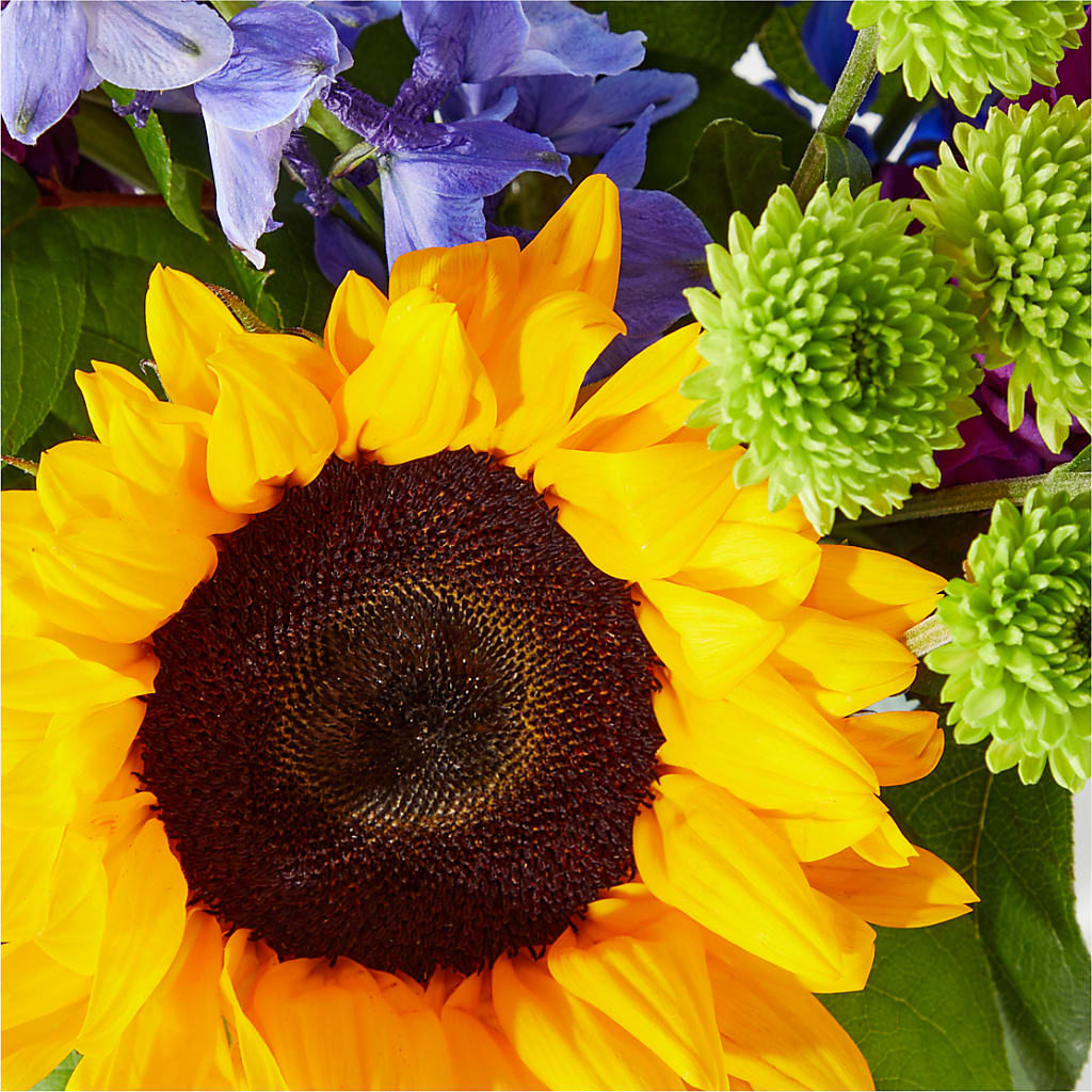 Catching Rays Bouquet – The Gift Garden, Macon GA