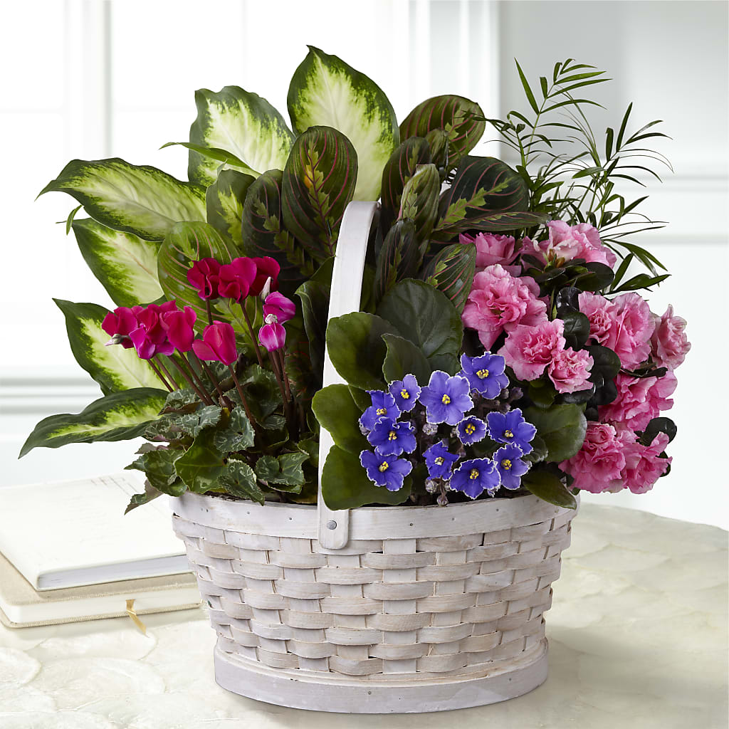 Peaceful Garden Planter – The Gift Garden, Macon GA