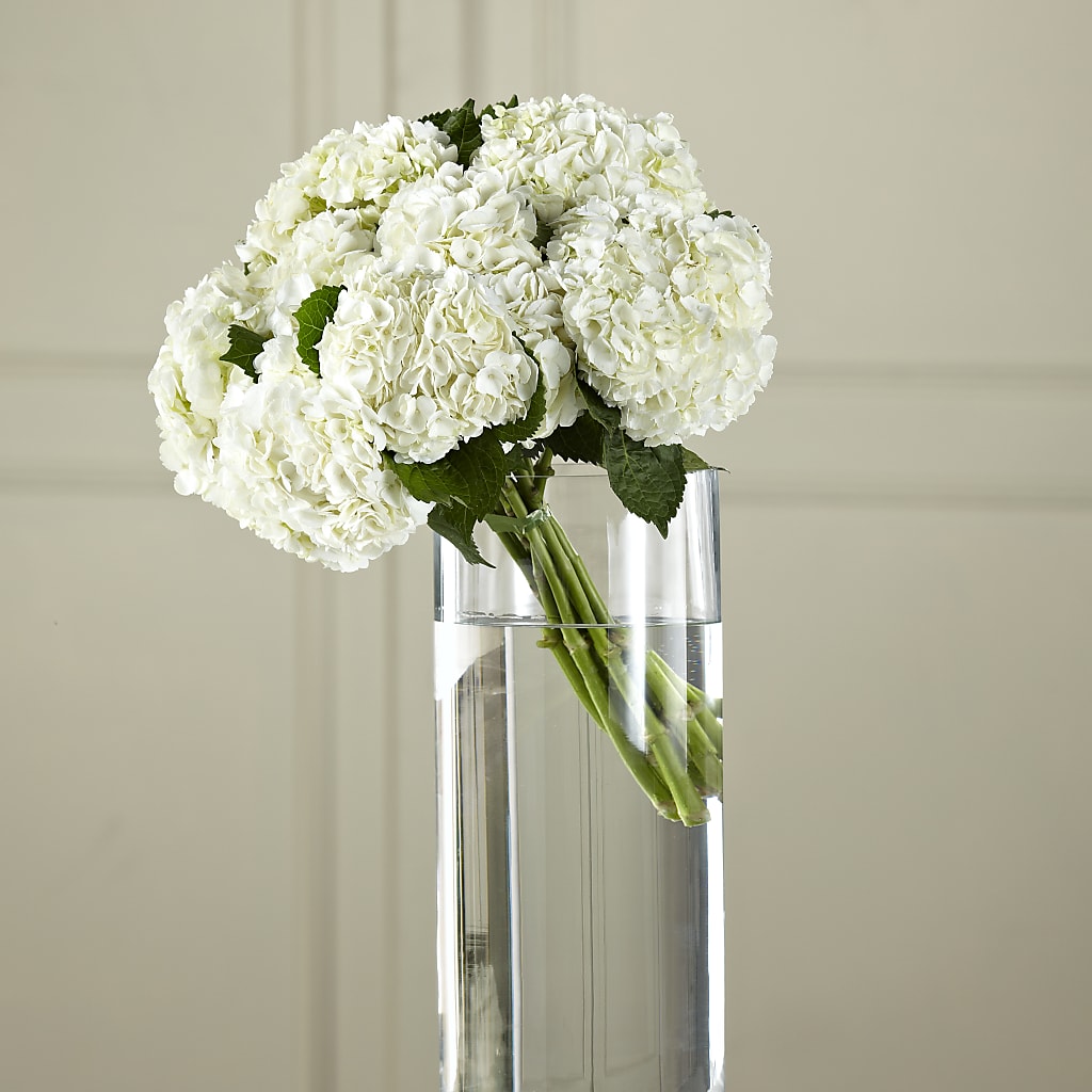 White Hydrangea Hand-Tied Bouquet – The Gift Garden, Macon GA