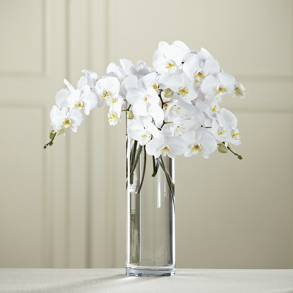 White Phalaenopsis Bouquet – The Gift Garden, Macon GA