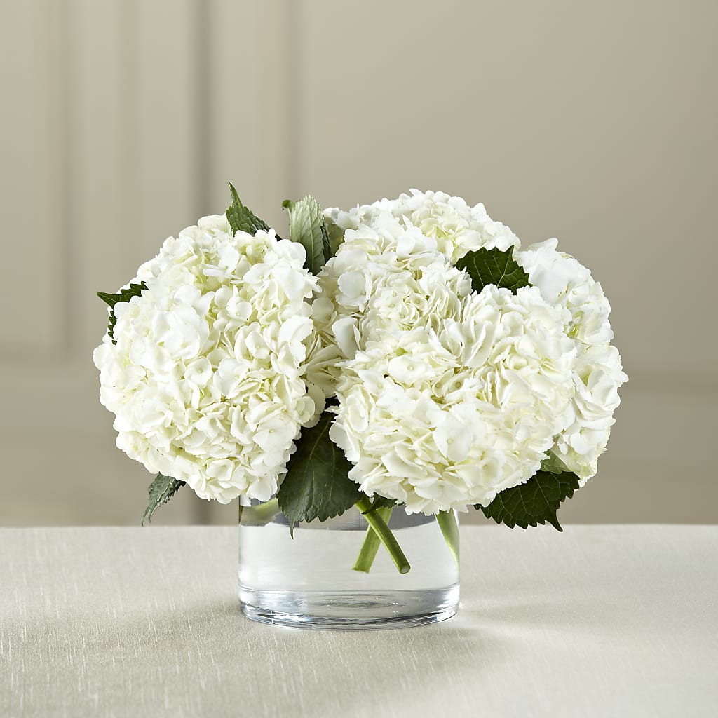 White Hydrangea Bouquet – The Gift Garden, Macon GA