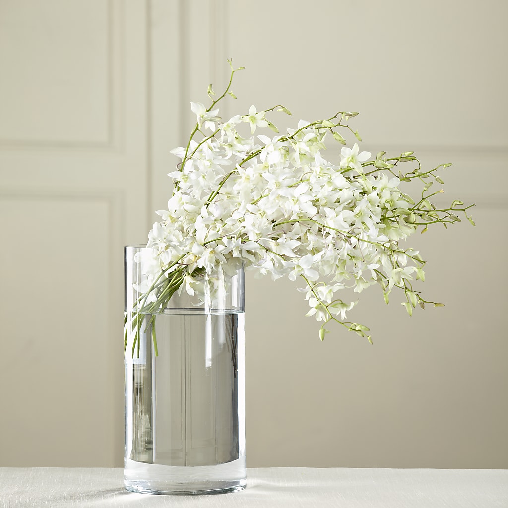 White Dendrobium Bouquet – The Gift Garden, Macon GA