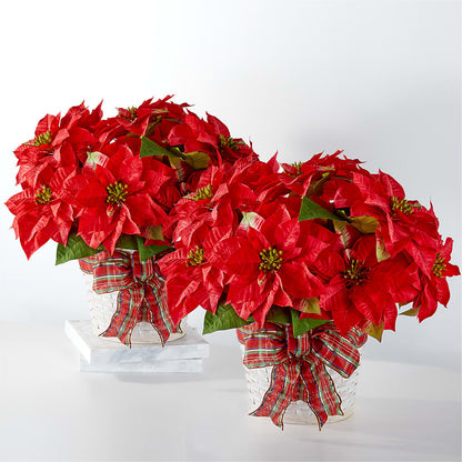 Happiest Holidays Poinsettia Bundle –  The Gift Garden, Macon GA