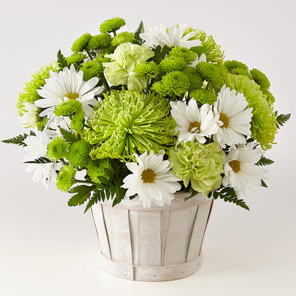 Lucky Charm Basket (Standard) –  The Gift Garden, Macon GA