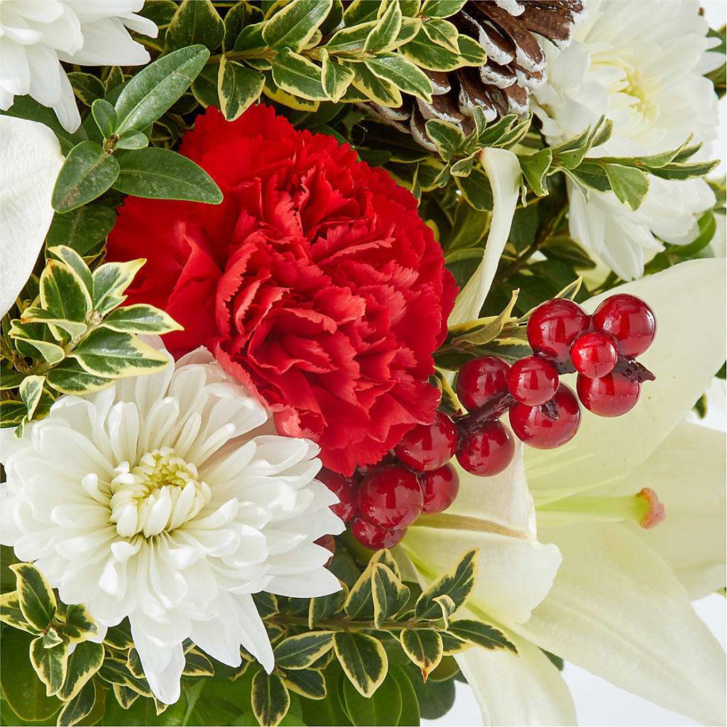 Festive Moments Tree –  The Gift Garden, Macon GA
