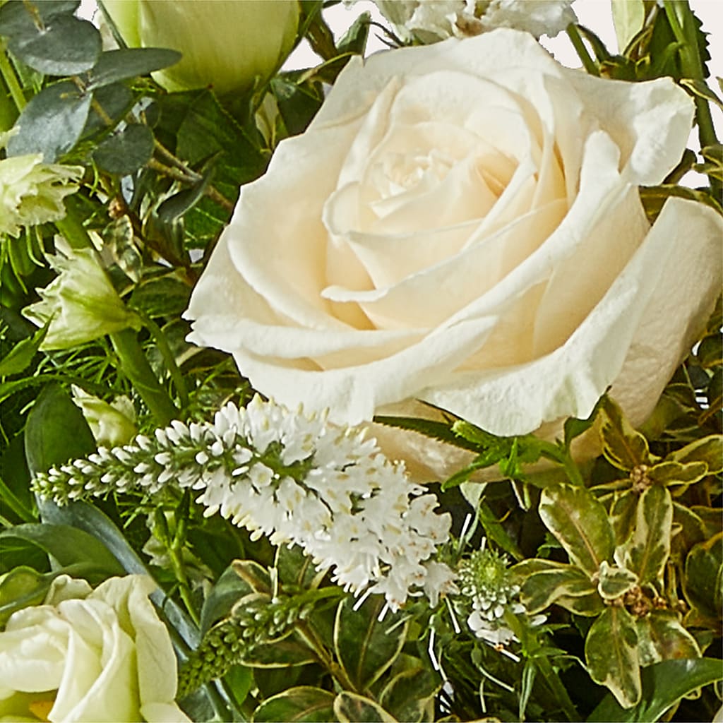 Cashmere Bouquet –  The Gift Garden, Macon GA