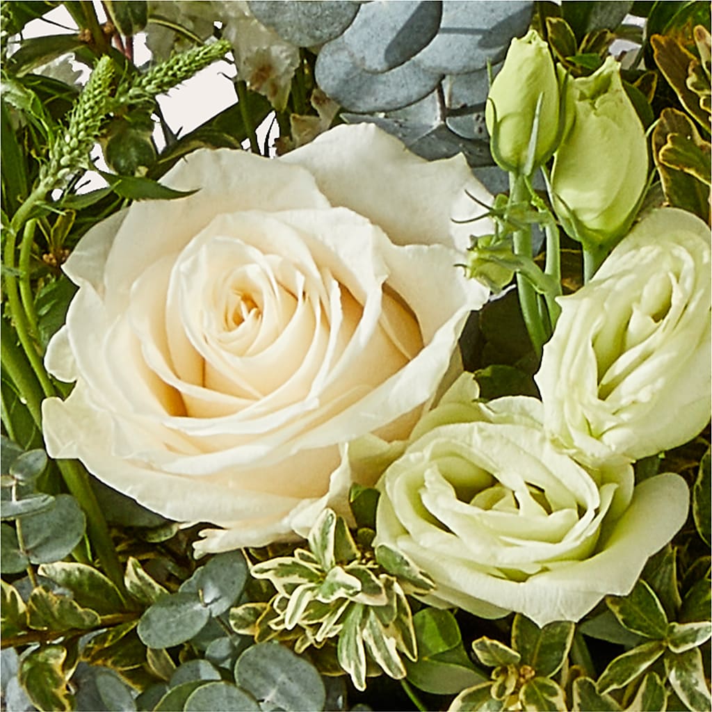 Cashmere Bouquet –  The Gift Garden, Macon GA