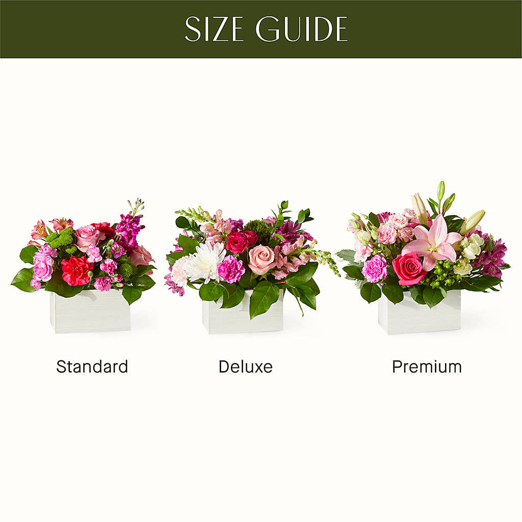 Sweetberry Box – A Florist Original –  The Gift Garden, Macon GA