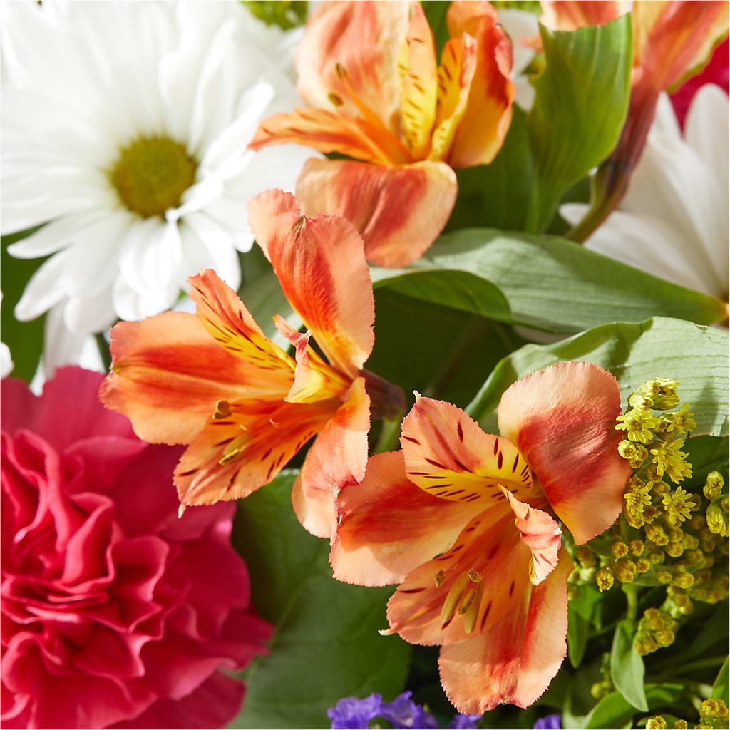 Oopsie Daisy Box Bouquet –  The Gift Garden, Macon GA