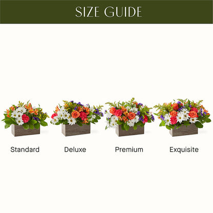 Oopsie Daisy Box Bouquet –  The Gift Garden, Macon GA