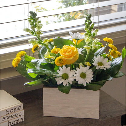 Sun Salutation Box Bouquet –  The Gift Garden, Macon GA