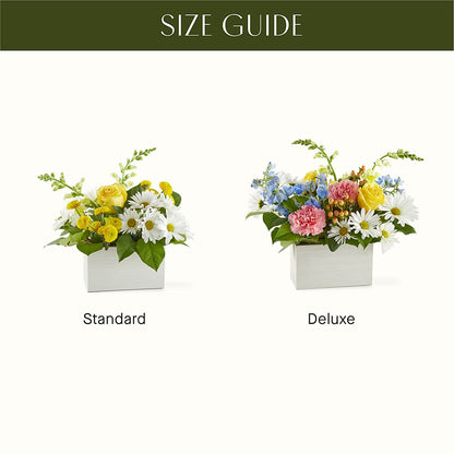 Sun Salutation Box Bouquet –  The Gift Garden, Macon GA