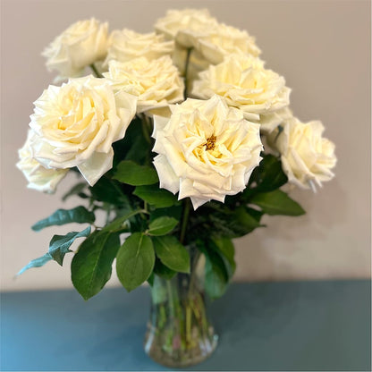Long Stem Yellow Rose Bouquet –  The Gift Garden, Macon GA