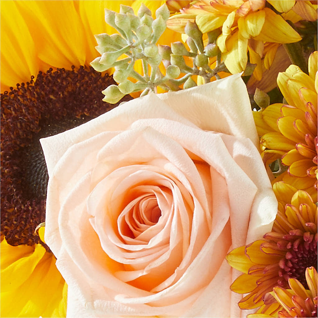 Pumpkin to Talk About Bouquet –  The Gift Garden, Macon GA