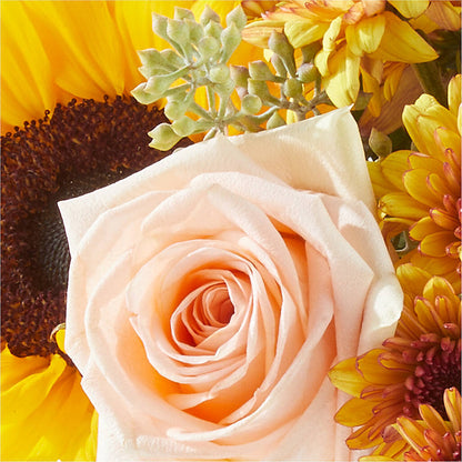 Pumpkin to Talk About Bouquet –  The Gift Garden, Macon GA