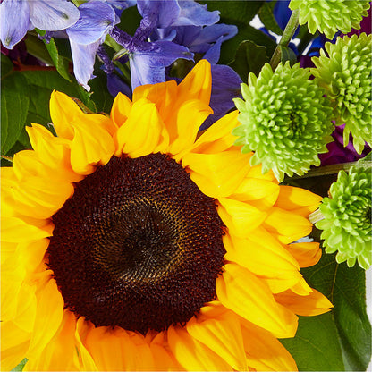 Catching Rays Bouquet –  The Gift Garden, Macon GA