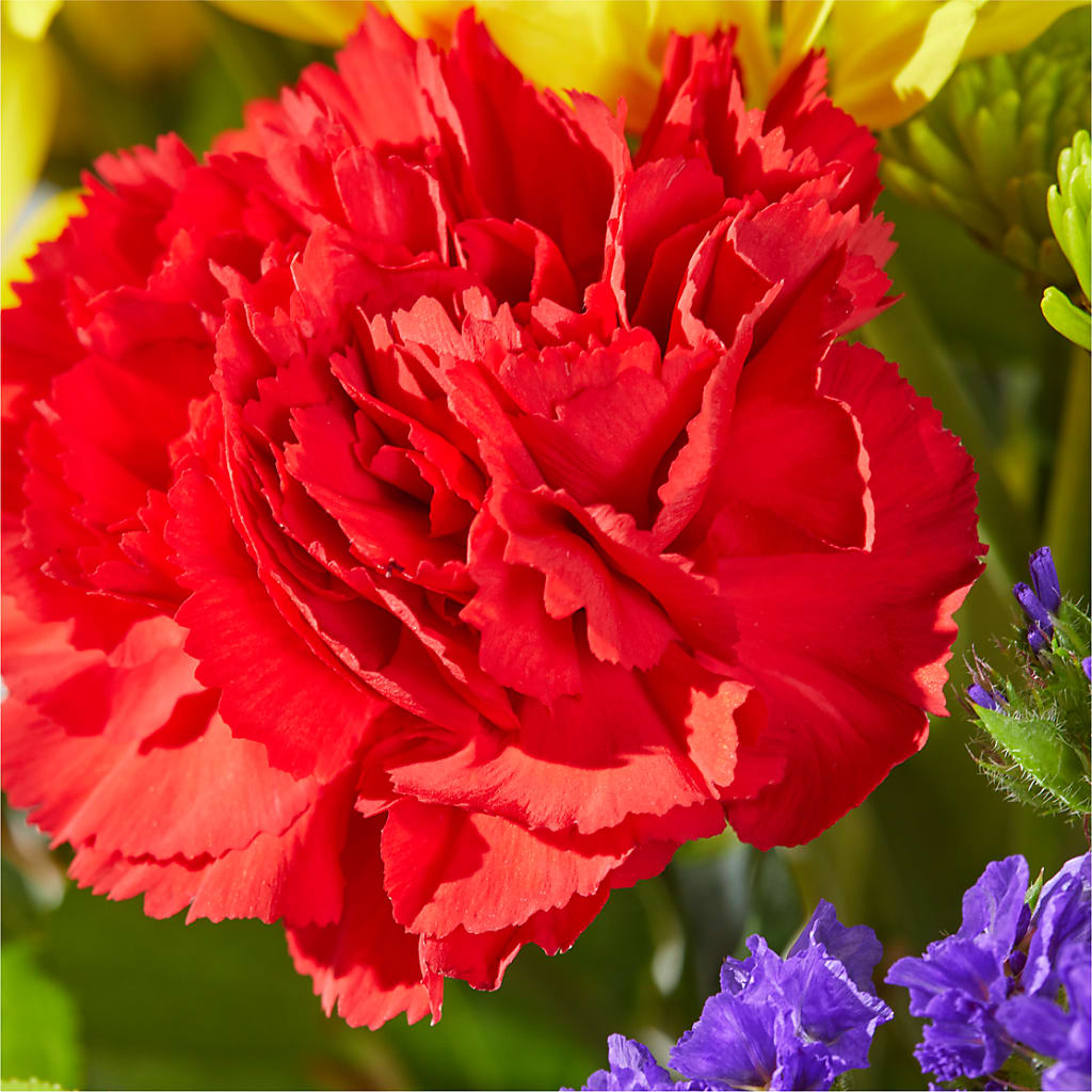 Brighter Days Bouquet –  The Gift Garden, Macon GA
