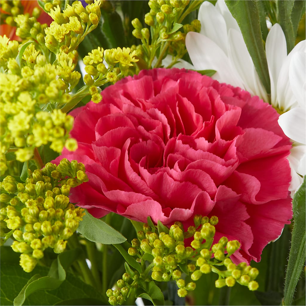 Oopsie Daisy Bouquet –  The Gift Garden, Macon GA