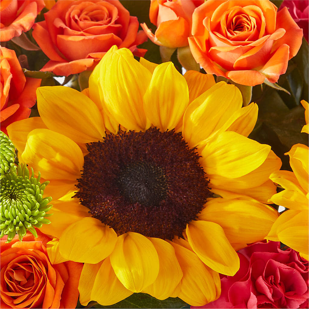 Sun-drenched Blooms Box Bouquet –  The Gift Garden, Macon GA