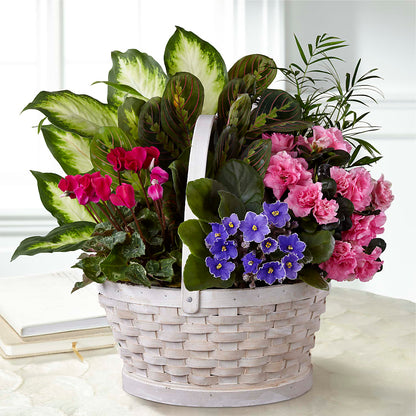 Peaceful Garden Planter –  The Gift Garden, Macon GA