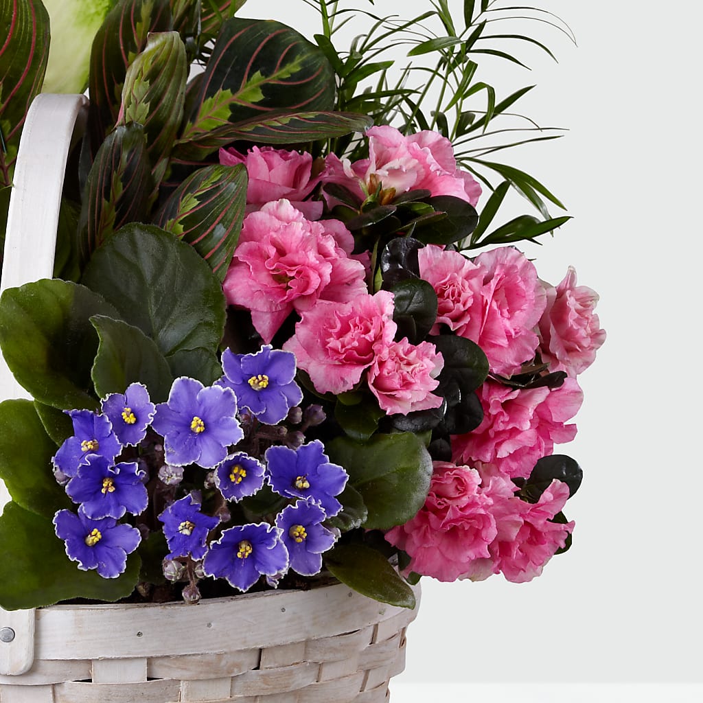 Peaceful Garden Planter –  The Gift Garden, Macon GA