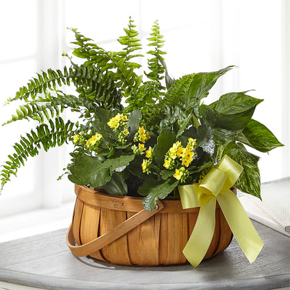 Always Dear Dishgarden –  The Gift Garden, Macon GA