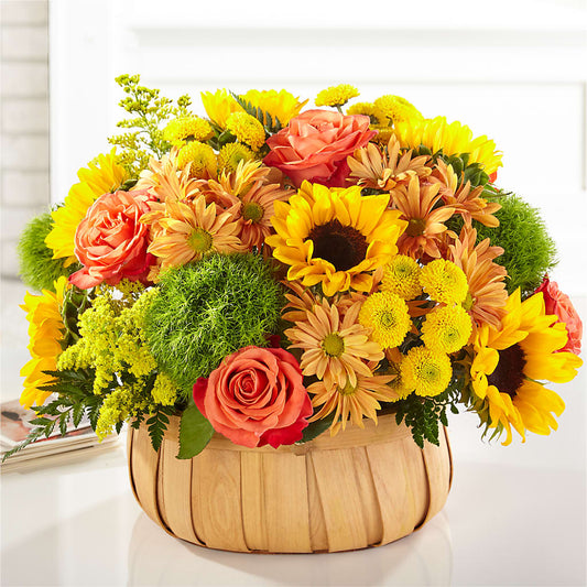 Harvest Sunflower Basket –  The Gift Garden, Macon GA