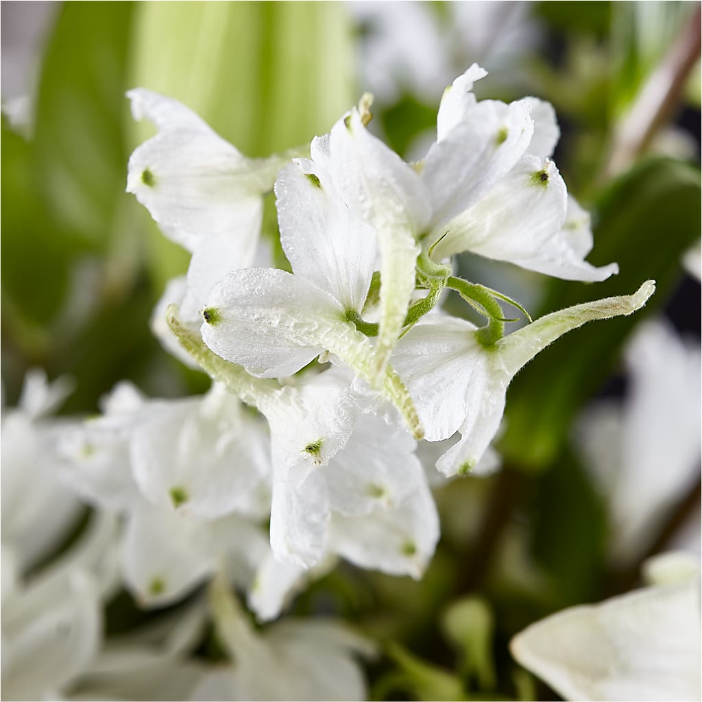 Classic Ivory – A Florist Original –  The Gift Garden, Macon GA