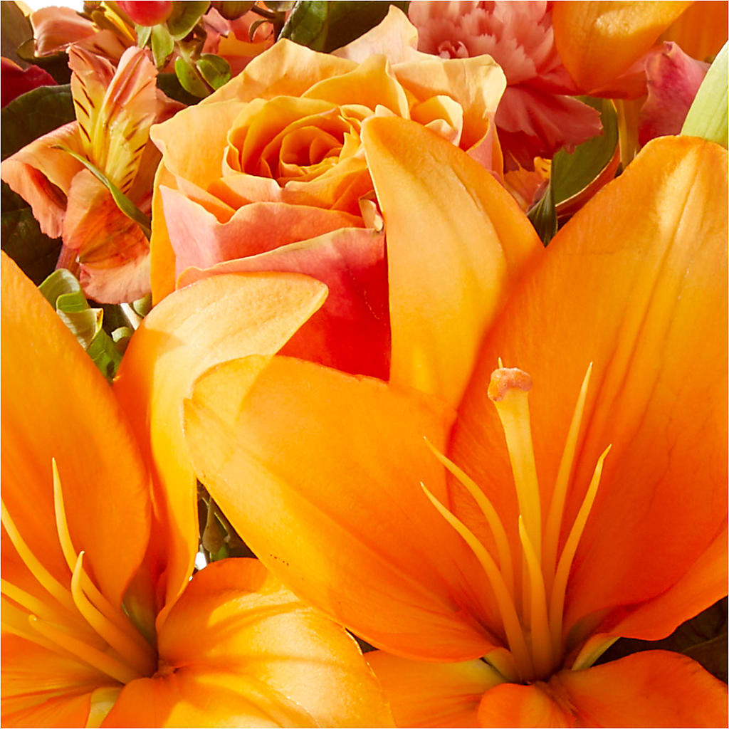 Afternoon Light Bouquet –  The Gift Garden, Macon GA