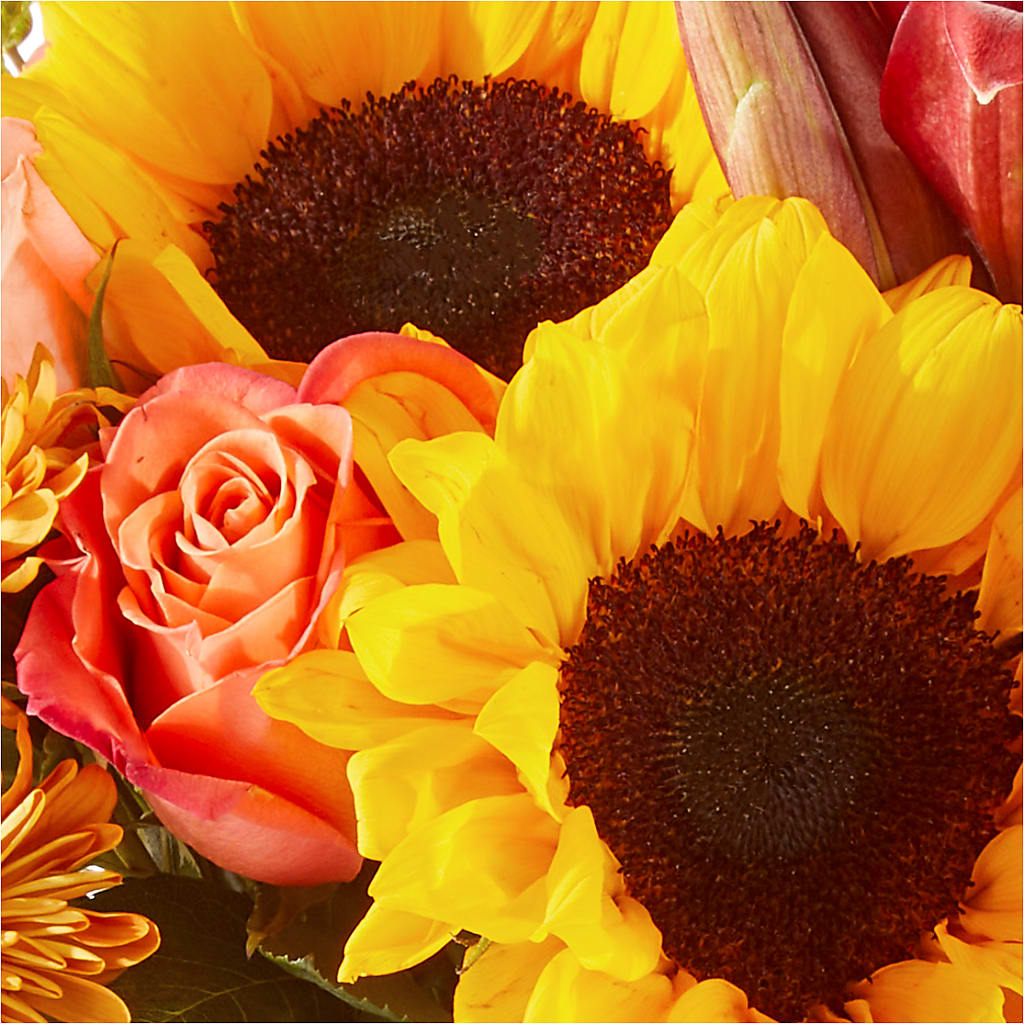 Acorn Lane Bouquet –  The Gift Garden, Macon GA