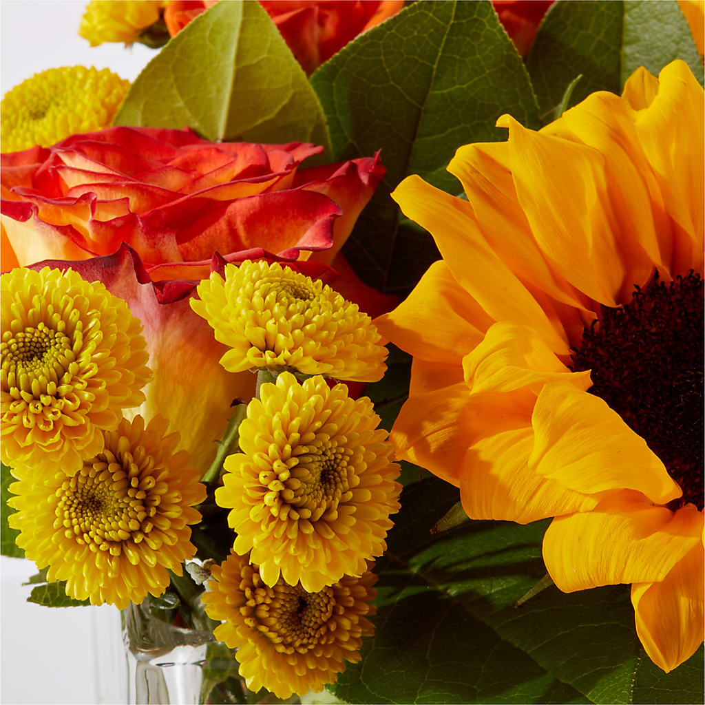 Picnic in the Park Bouquet –  The Gift Garden, Macon GA