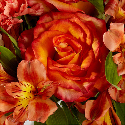 Apricot Glow Bouquet –  The Gift Garden, Macon GA