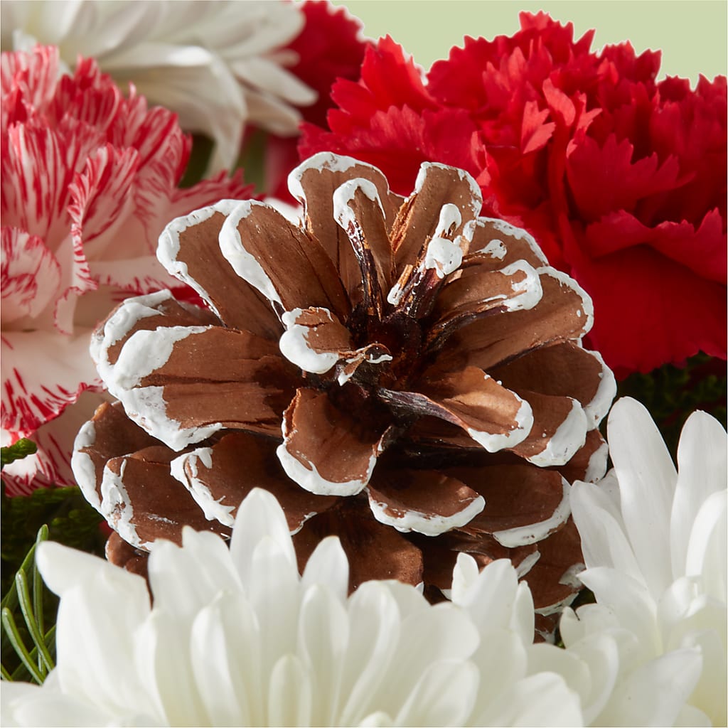Candy Cane Lane Bouquet –  The Gift Garden, Macon GA