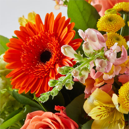 Autumn Sunshine Bouquet –  The Gift Garden, Macon GA