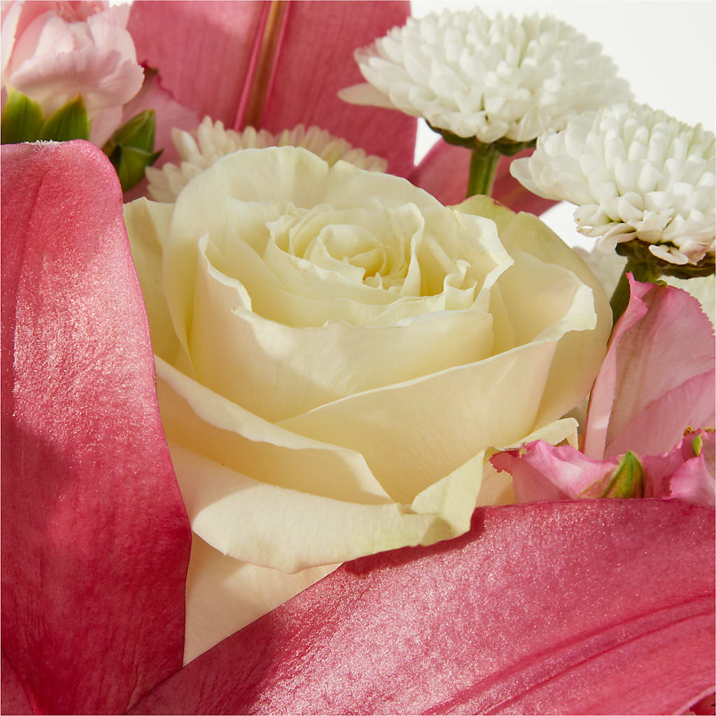 Piece of Cake Bouquet –  The Gift Garden, Macon GA