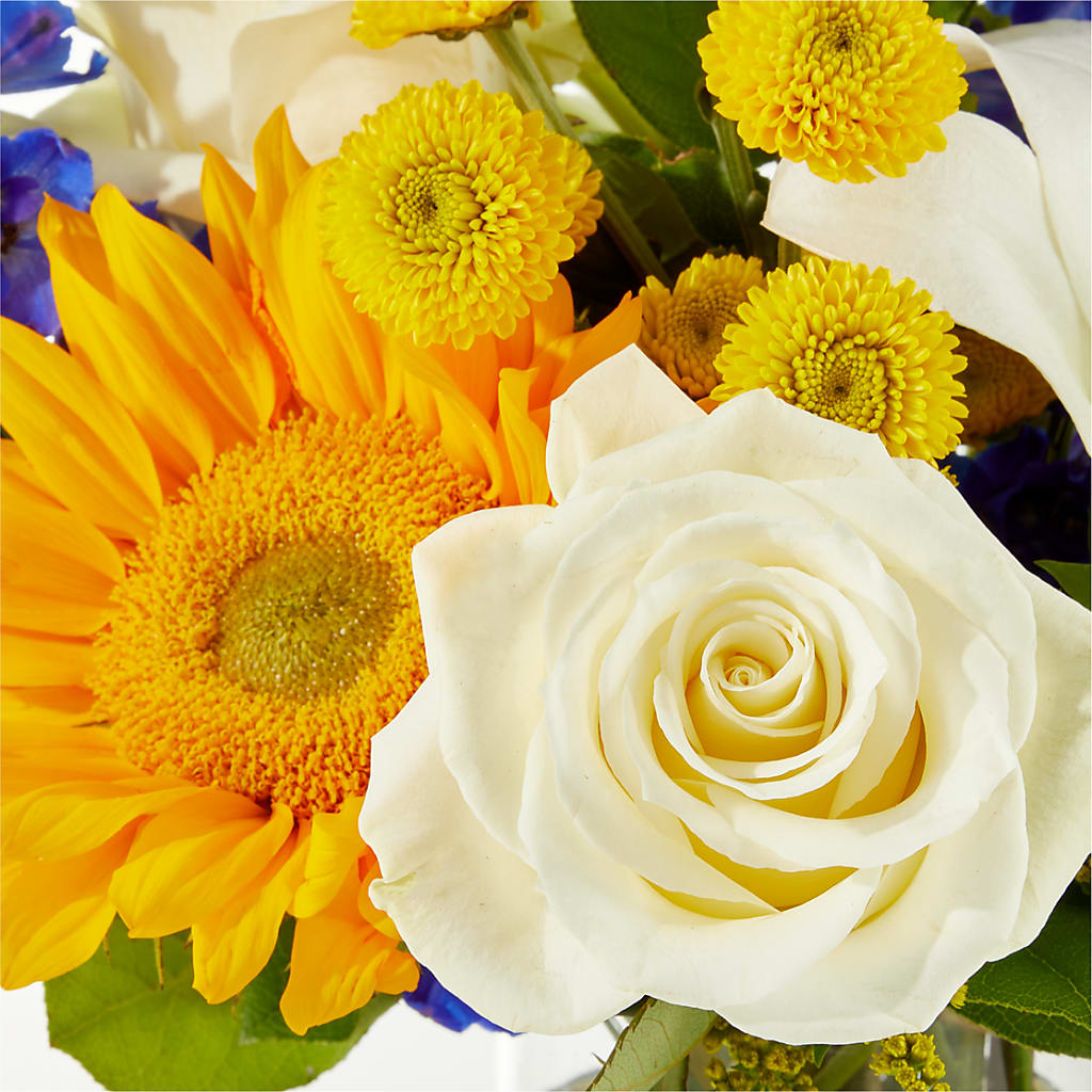 Stargazing Bouquet –  The Gift Garden, Macon GA