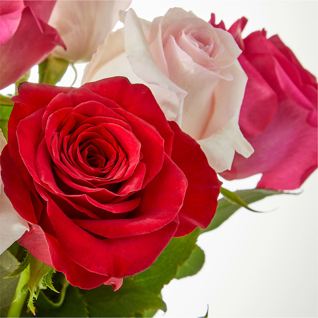 Charming Rose Bouquet –  The Gift Garden, Macon GA
