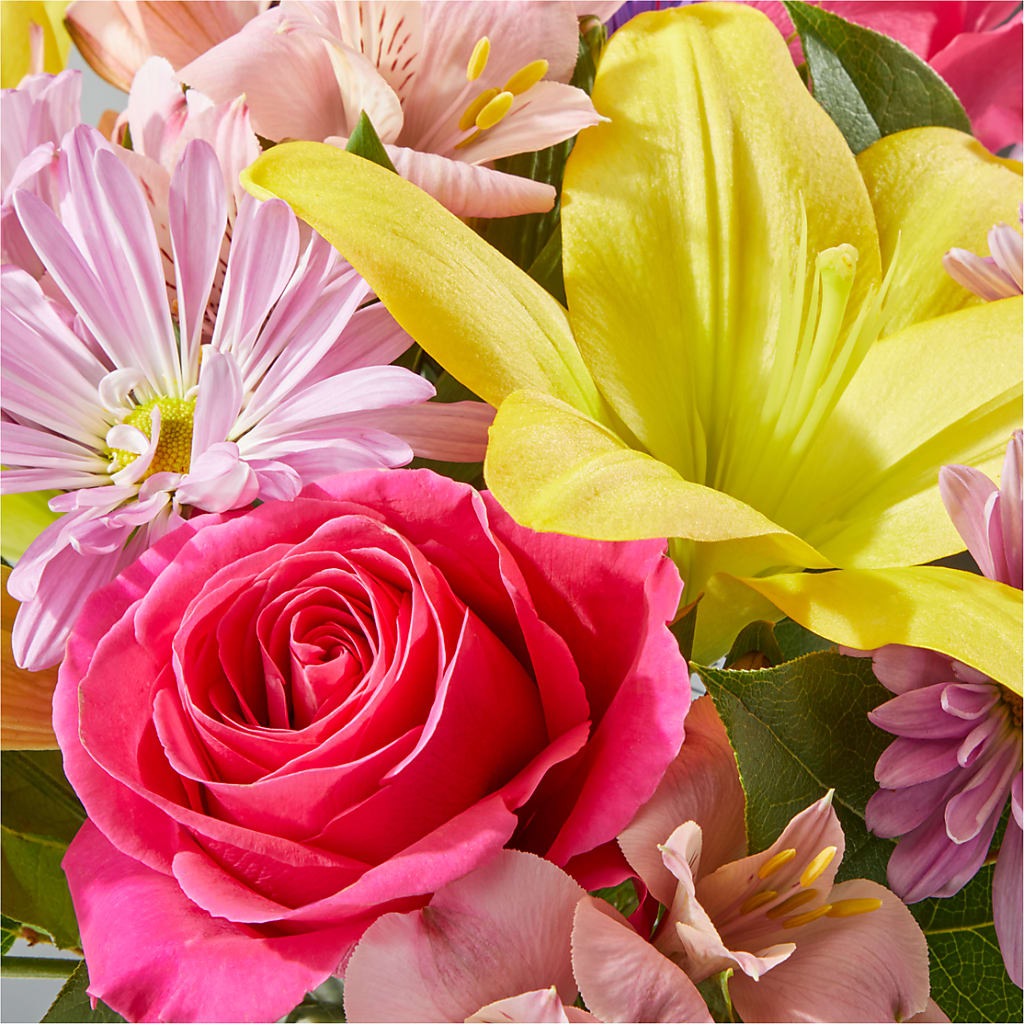 Sprinkles Bouquet –  The Gift Garden, Macon GA
