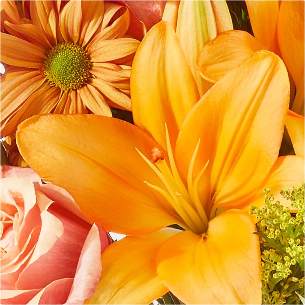 Harvest Hayride Bouquet –  The Gift Garden, Macon GA