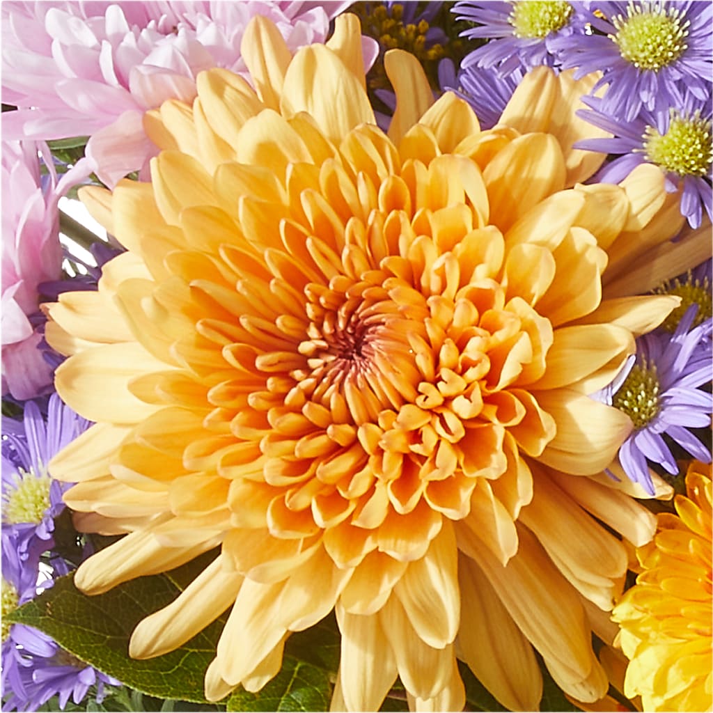 Countryside Bouquet –  The Gift Garden, Macon GA