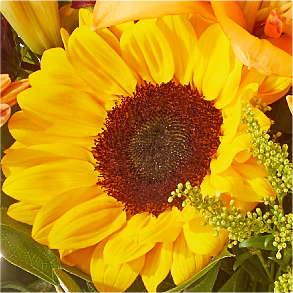 Seasons Change Bouquet –  The Gift Garden, Macon GA