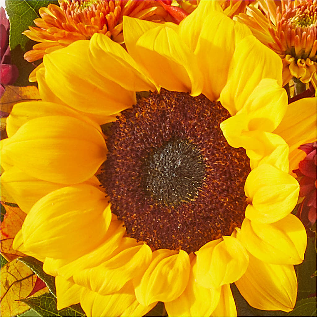 Sunny Side Bouquet –  The Gift Garden, Macon GA