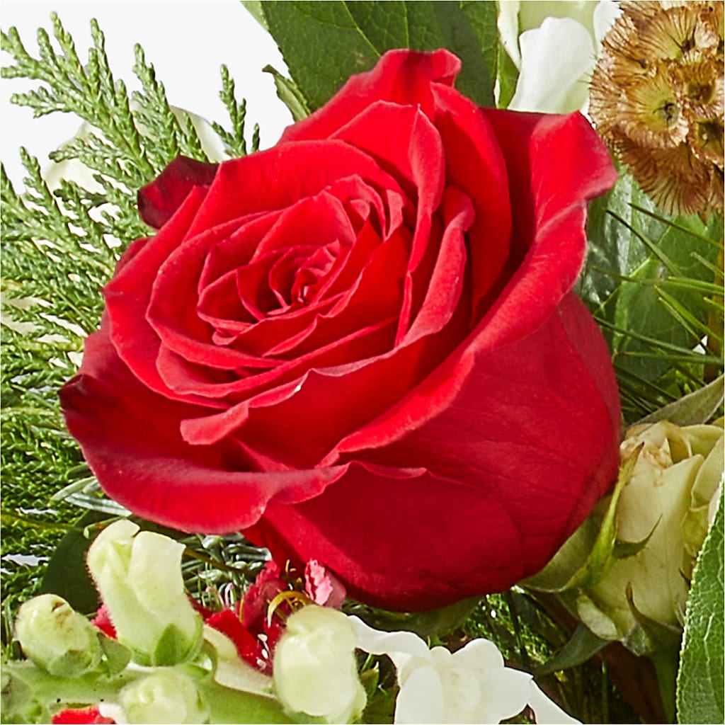 Deck the Halls Bouquet –  The Gift Garden, Macon GA
