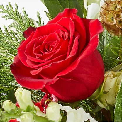 Deck the Halls Bouquet –  The Gift Garden, Macon GA