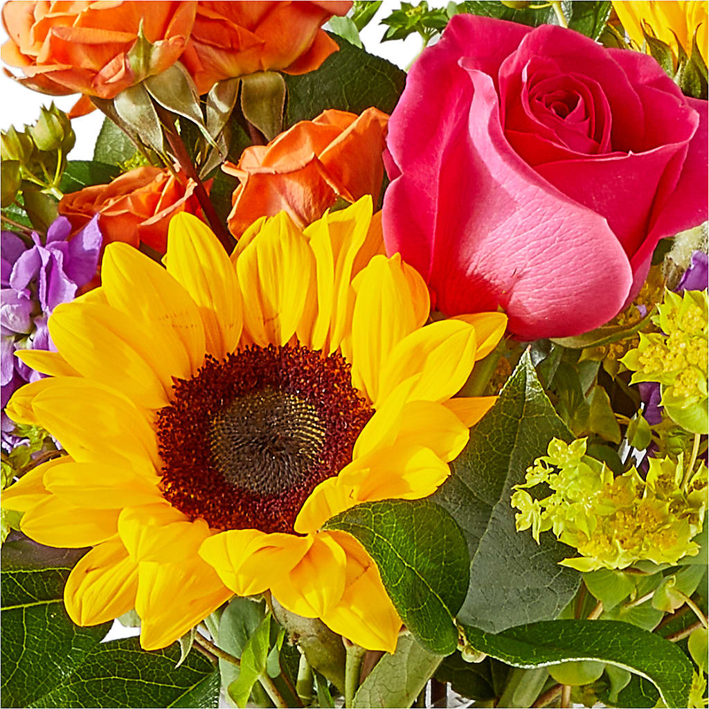 Vibrant Greetings Bouquet –  The Gift Garden, Macon GA