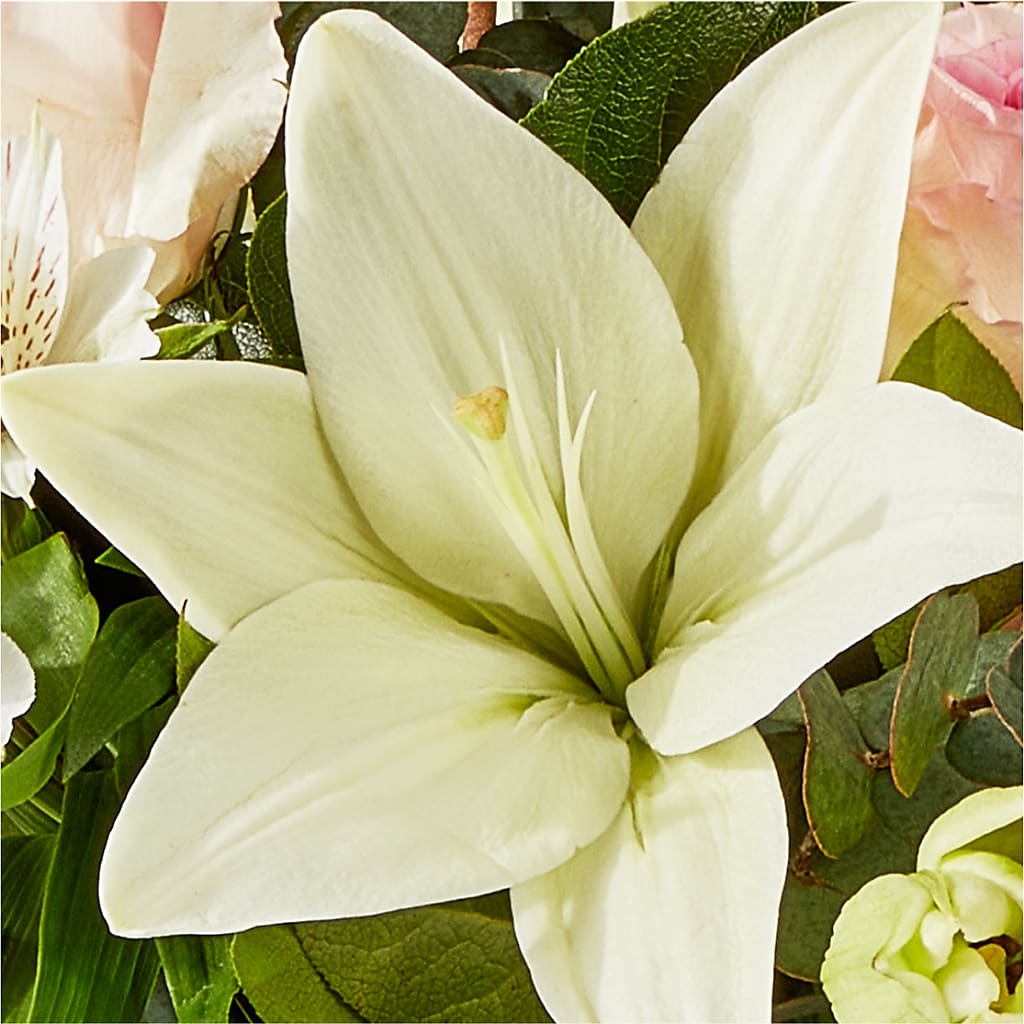 Ballet Slippers Bouquet –  The Gift Garden, Macon GA