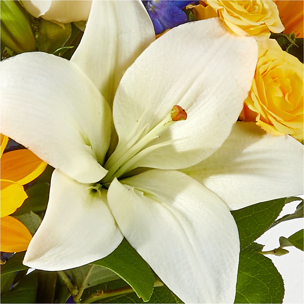 Wonderfully Sunny Bouquet –  The Gift Garden, Macon GA